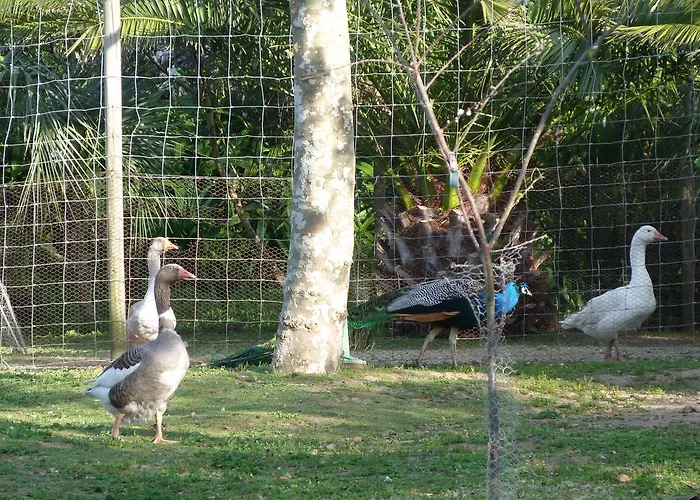 Atlantico * 리베라그란데