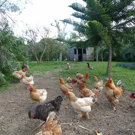 شقة Atlantico هيبيرا غْريندي