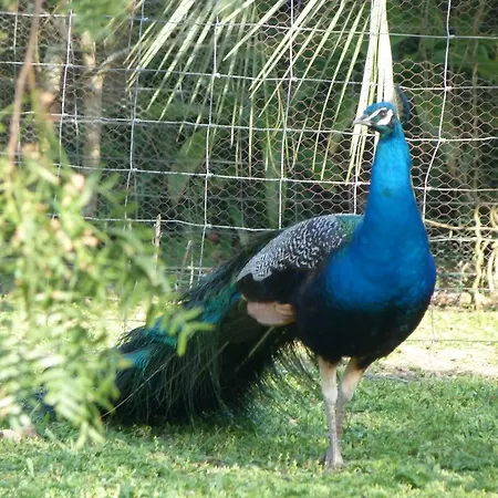 Atlantico شقة هيبيرا غْريندي