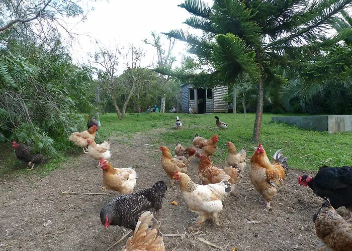 Apartman Atlantico Ribeira Grande